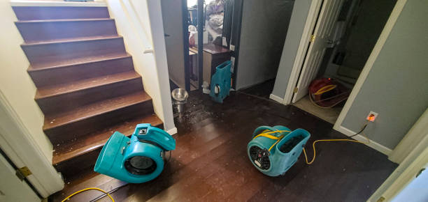 Best Emergency water damage restoration  in Wilmer, TX