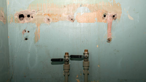 Best Commercial water damage restoration  in Wilmer, TX