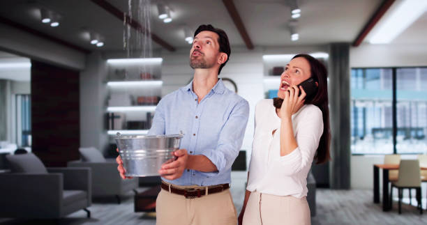 Best Emergency water extraction  in Wilmer, TX