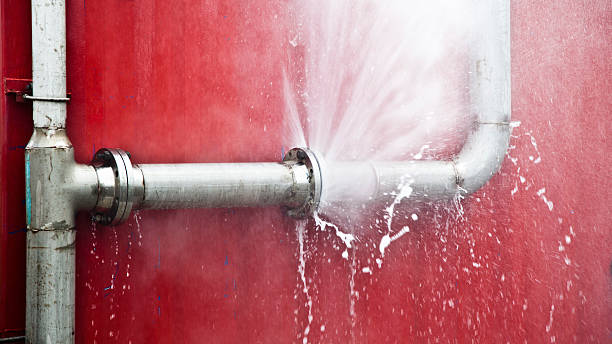 Best 24/7 water damage repair  in Wilmer, TX