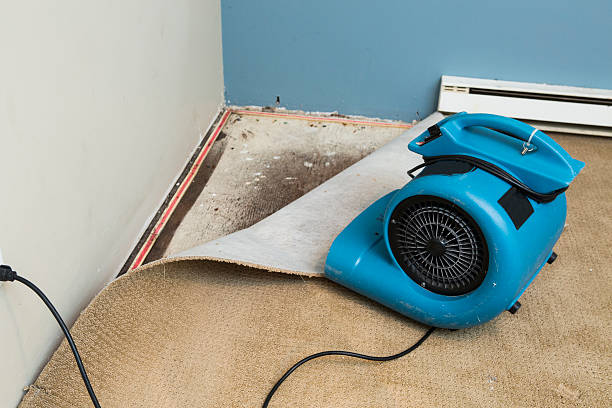 Best Emergency water damage restoration  in Wilmer, TX